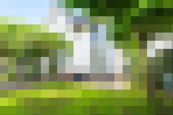 Sneeuwwater 13 Houten thumbnail 23