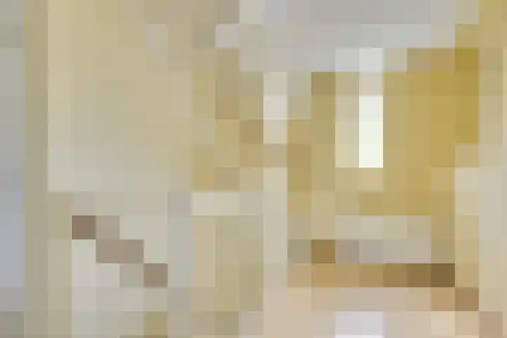 Sneeuwwater 13 Houten thumbnail 24