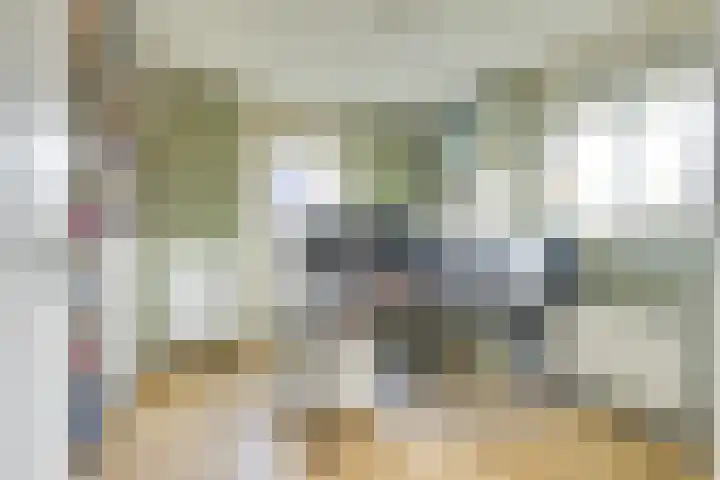 Sneeuwwater 13 Houten thumbnail 29
