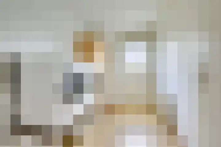 Sneeuwwater 13 Houten thumbnail 30