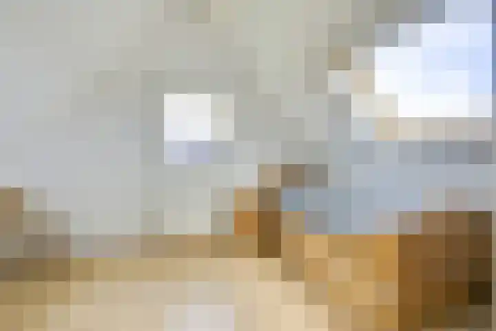 Sneeuwwater 13 Houten thumbnail 32