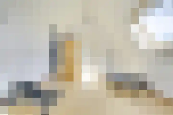 Sneeuwwater 13 Houten thumbnail 35