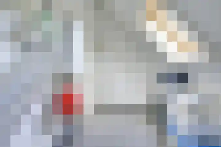 Sneeuwwater 13 Houten thumbnail 37