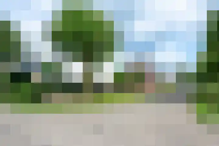 Sneeuwwater 13 Houten thumbnail 38