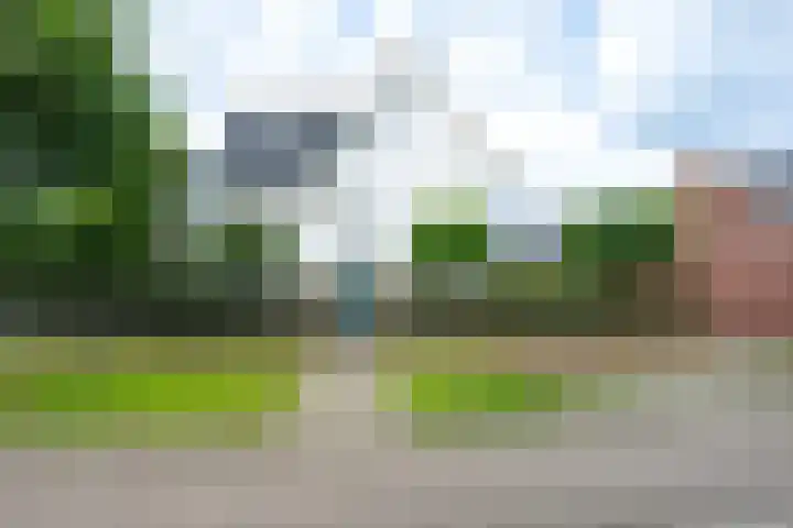 Sneeuwwater 13 Houten thumbnail 39