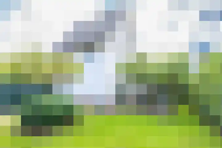 Sneeuwwater 13 Houten thumbnail 4
