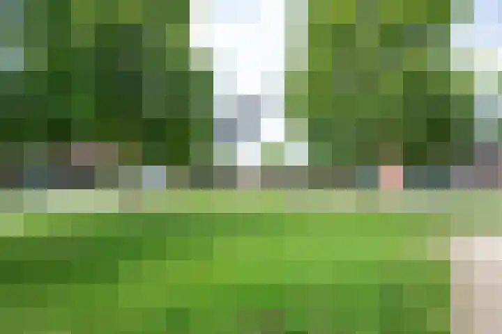 Sneeuwwater 13 Houten thumbnail 41
