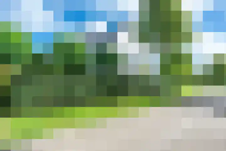 Sneeuwwater 13 Houten thumbnail 42