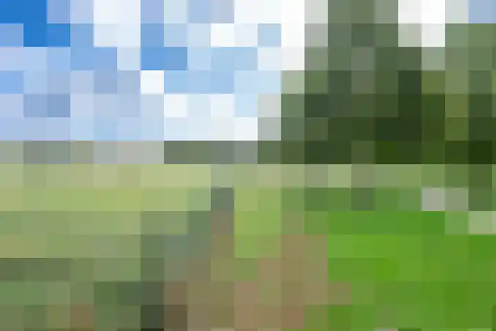 Sneeuwwater 13 Houten thumbnail 44