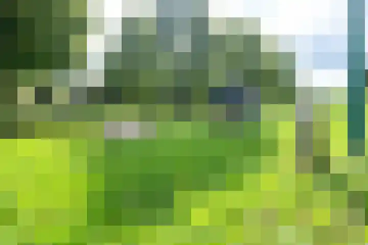 Sneeuwwater 13 Houten thumbnail 45