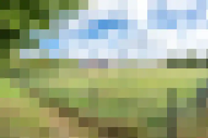 Sneeuwwater 13 Houten thumbnail 5