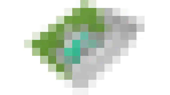 Sneeuwwater 13 Houten thumbnail 60