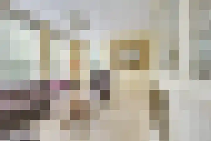 Sneeuwwater 13 Houten thumbnail 7