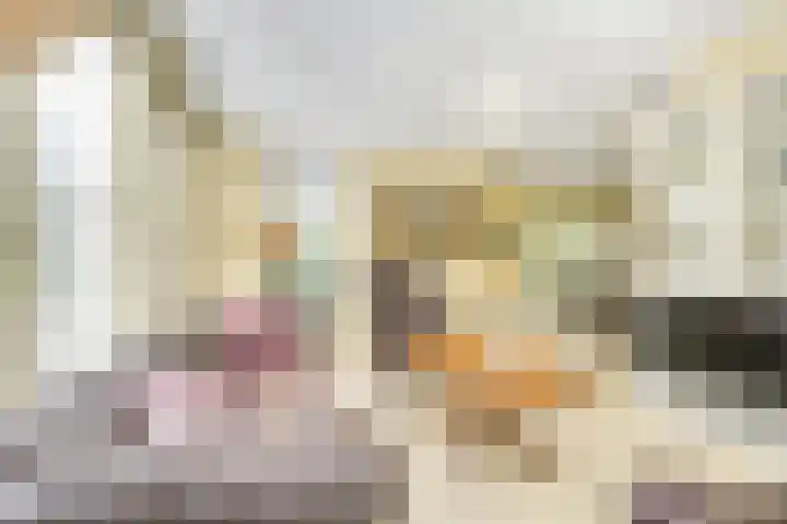 Sneeuwwater 13 Houten thumbnail 8
