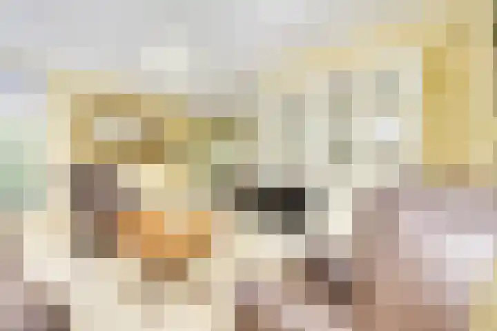 Sneeuwwater 13 Houten thumbnail 9