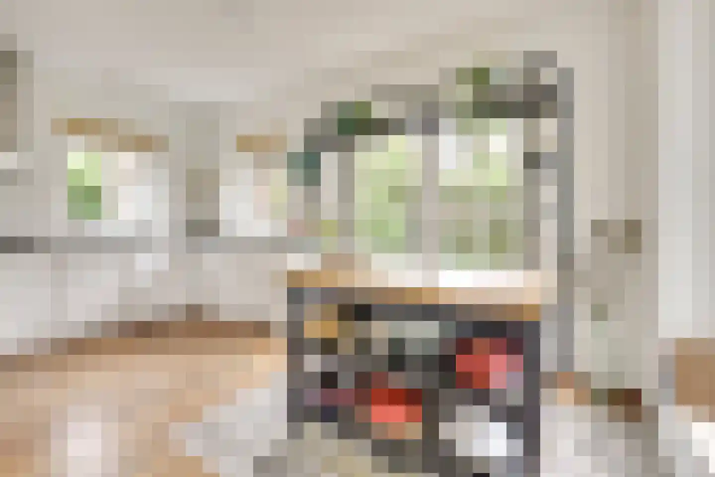 Sneeuwwater 9 Houten thumbnail 16