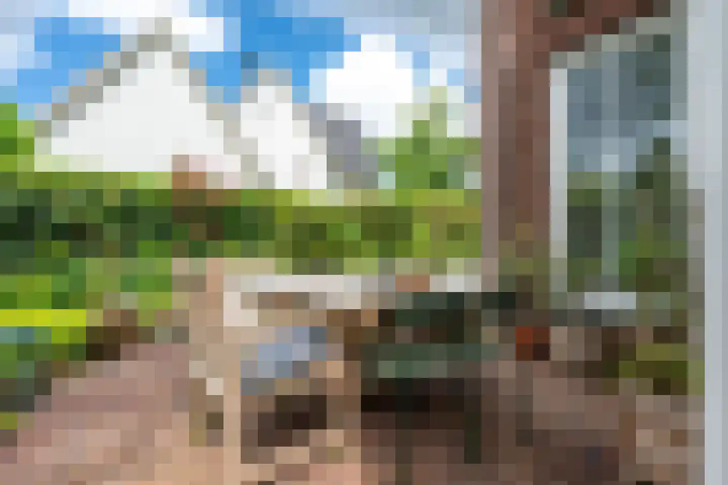 Sneeuwwater 9 Houten thumbnail 20