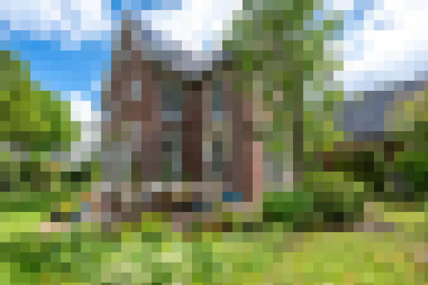 Sneeuwwater 9 Houten thumbnail 22