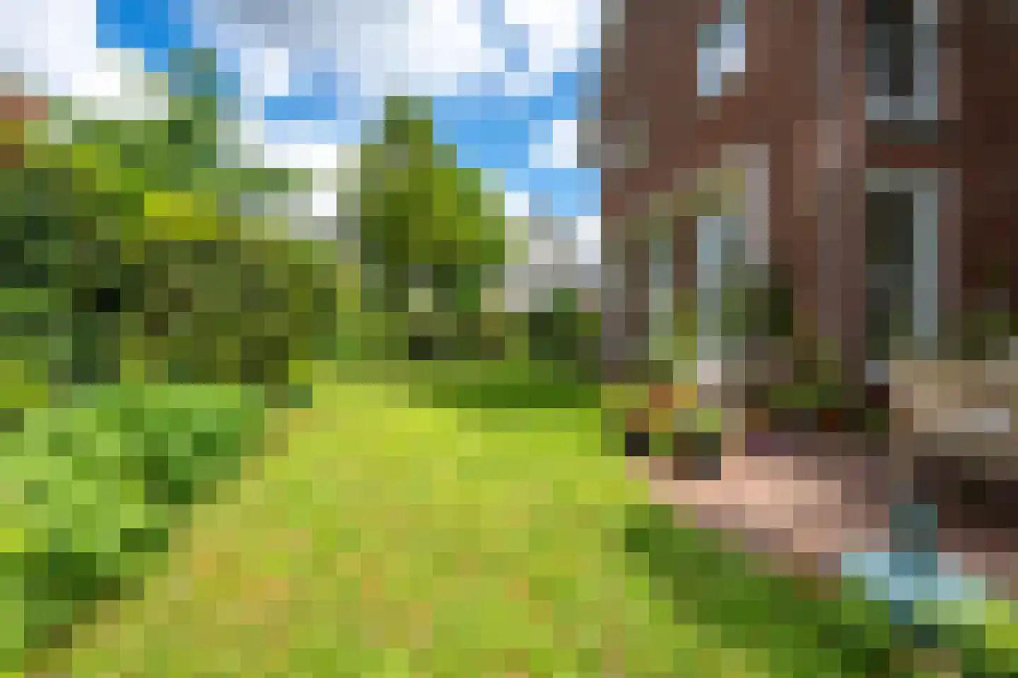 Sneeuwwater 9 Houten thumbnail 23