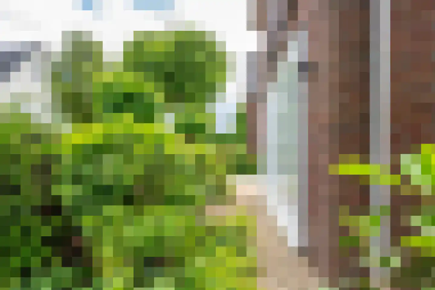 Sneeuwwater 9 Houten thumbnail 60