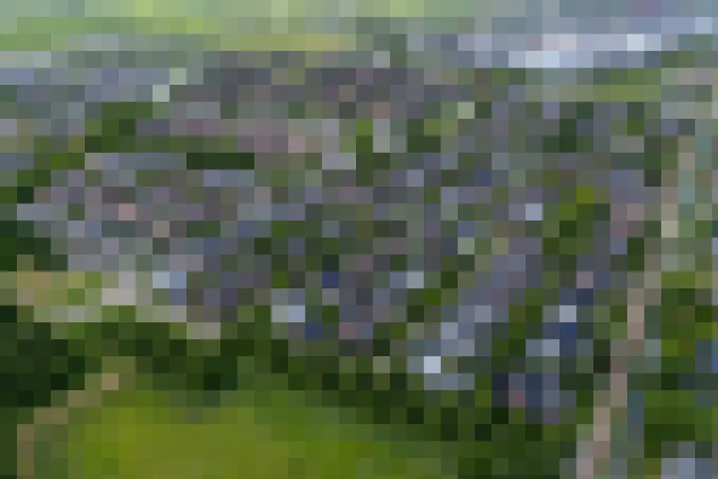 Sneeuwwater 9 Houten thumbnail 66