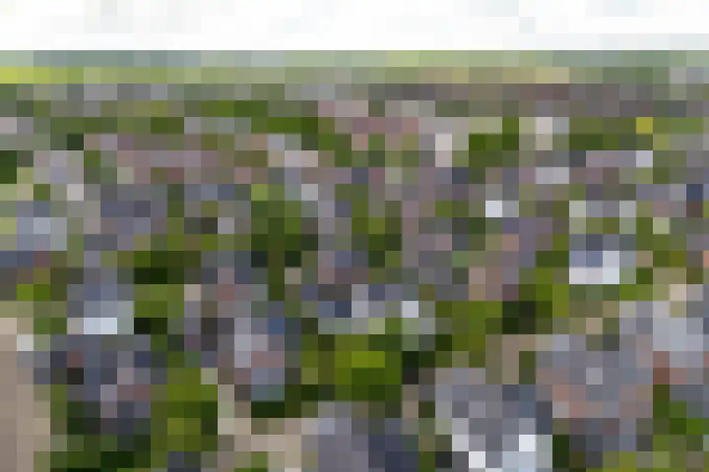 Sneeuwwater 9 Houten thumbnail 67