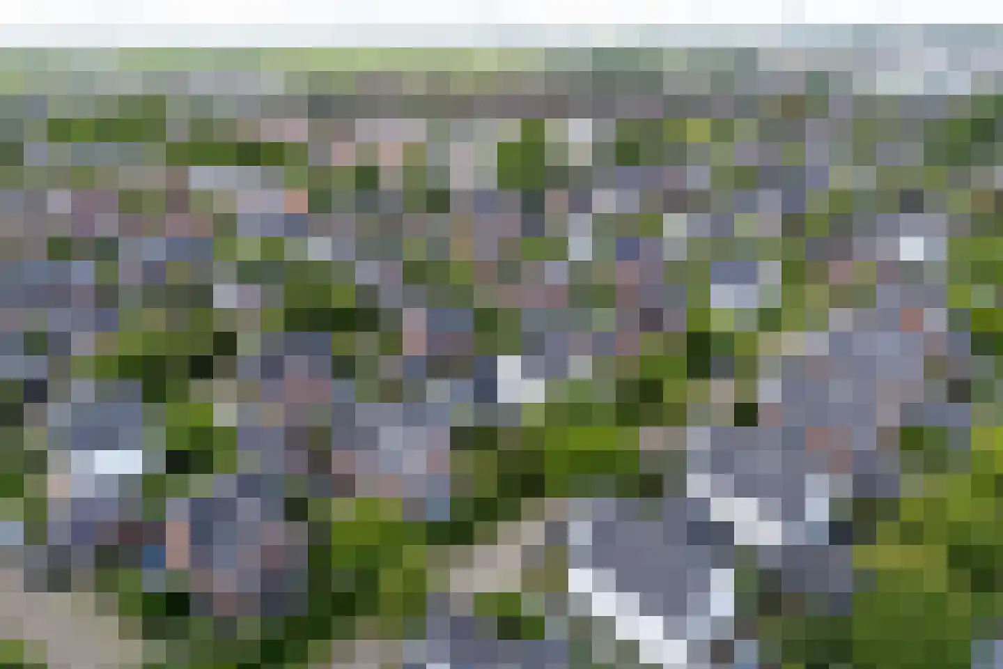 Sneeuwwater 9 Houten thumbnail 68