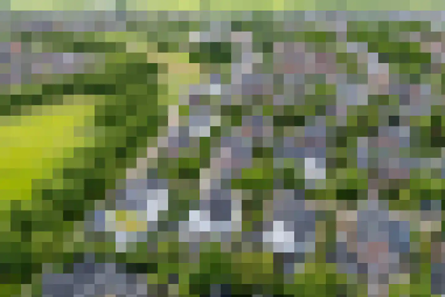 Sneeuwwater 9 Houten thumbnail 70
