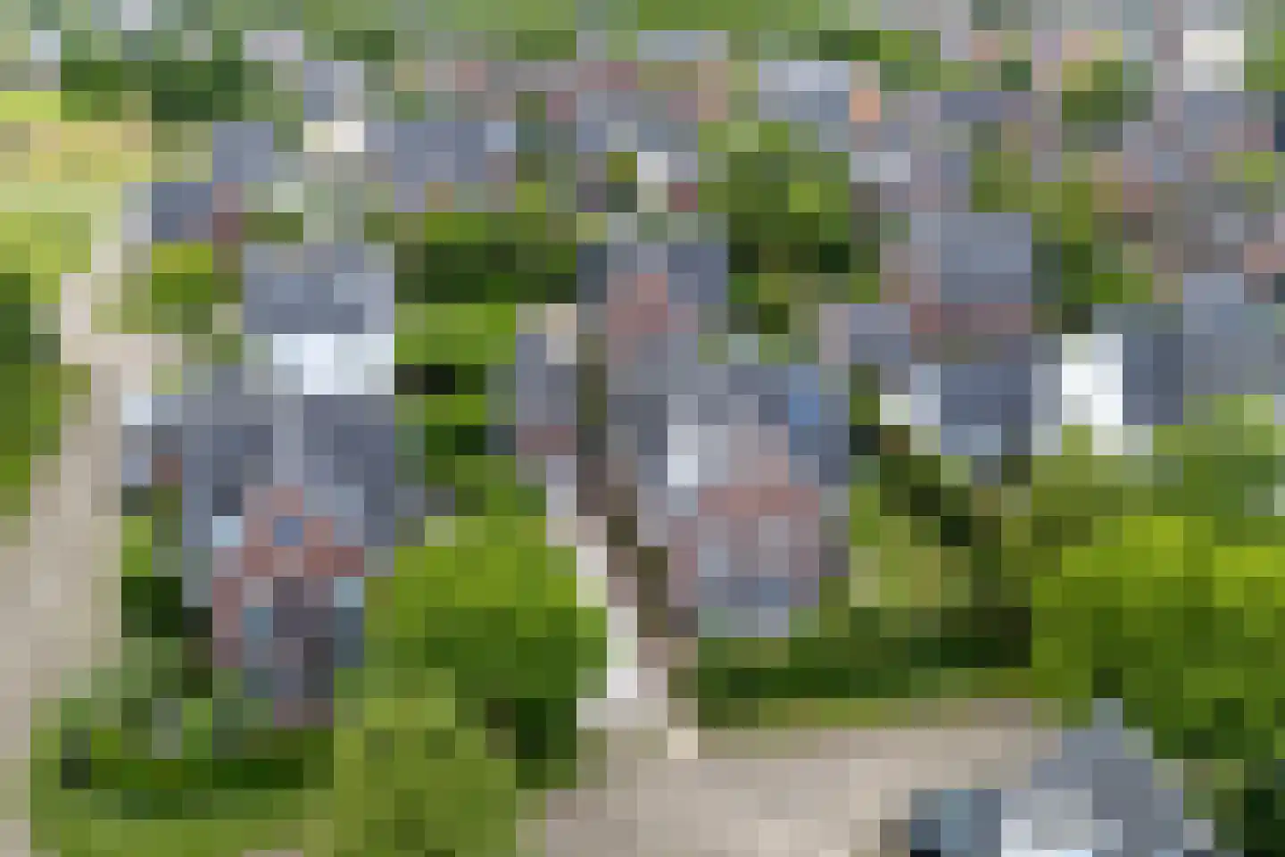 Sneeuwwater 9 Houten thumbnail 71