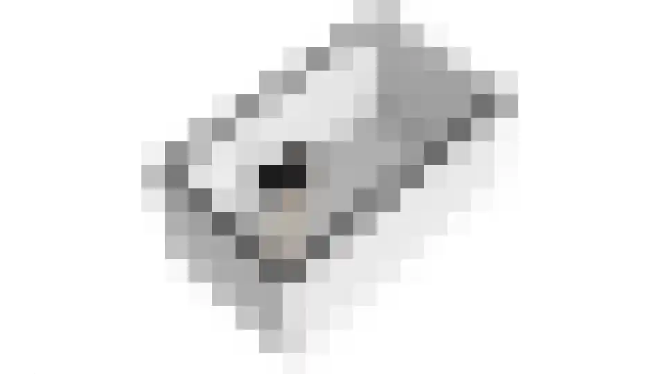 Sneeuwwater 9 Houten thumbnail 85