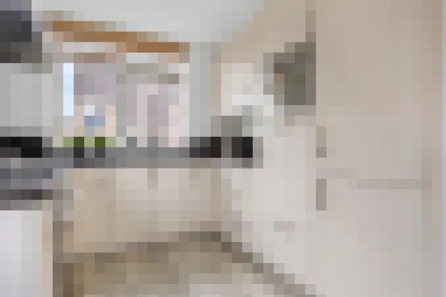 Sneeuwwit 22 Zoetermeer thumbnail 10