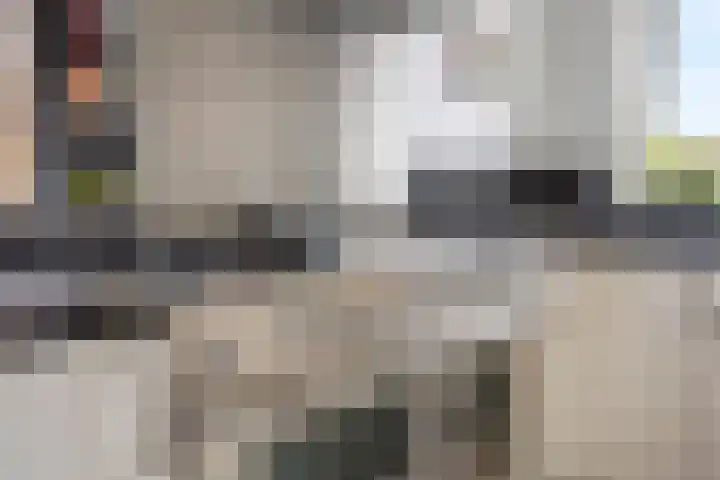 Sneeuwwit 22 Zoetermeer thumbnail 11