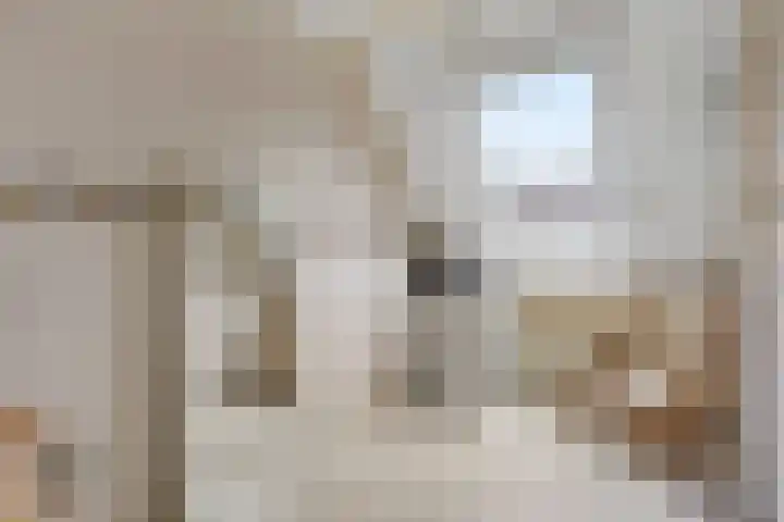 Sneeuwwit 22 Zoetermeer thumbnail 16