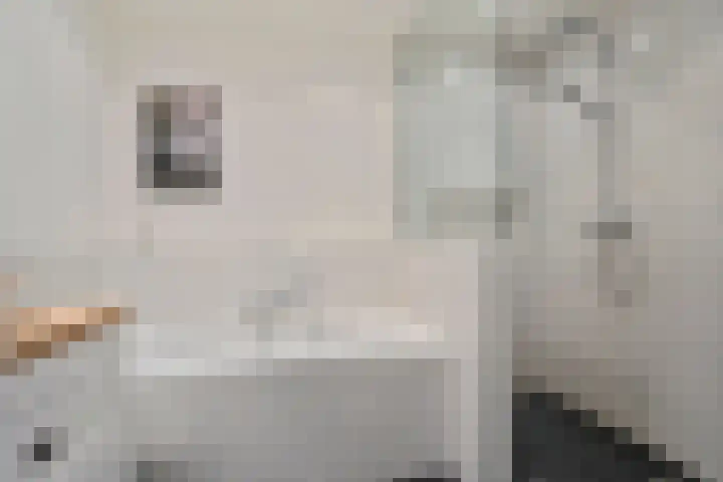 Sneeuwwit 22 Zoetermeer thumbnail 18