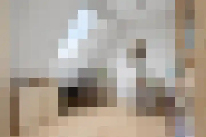 Sneeuwwit 22 Zoetermeer thumbnail 25