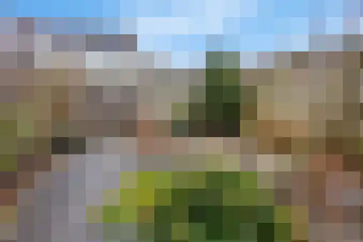 Sneeuwwit 22 Zoetermeer thumbnail 28