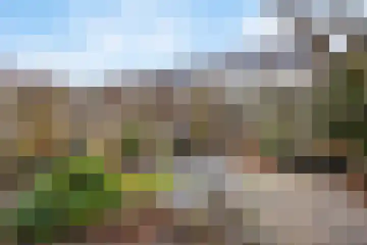 Sneeuwwit 22 Zoetermeer thumbnail 29
