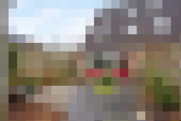 Sneeuwwit 22 Zoetermeer thumbnail 30