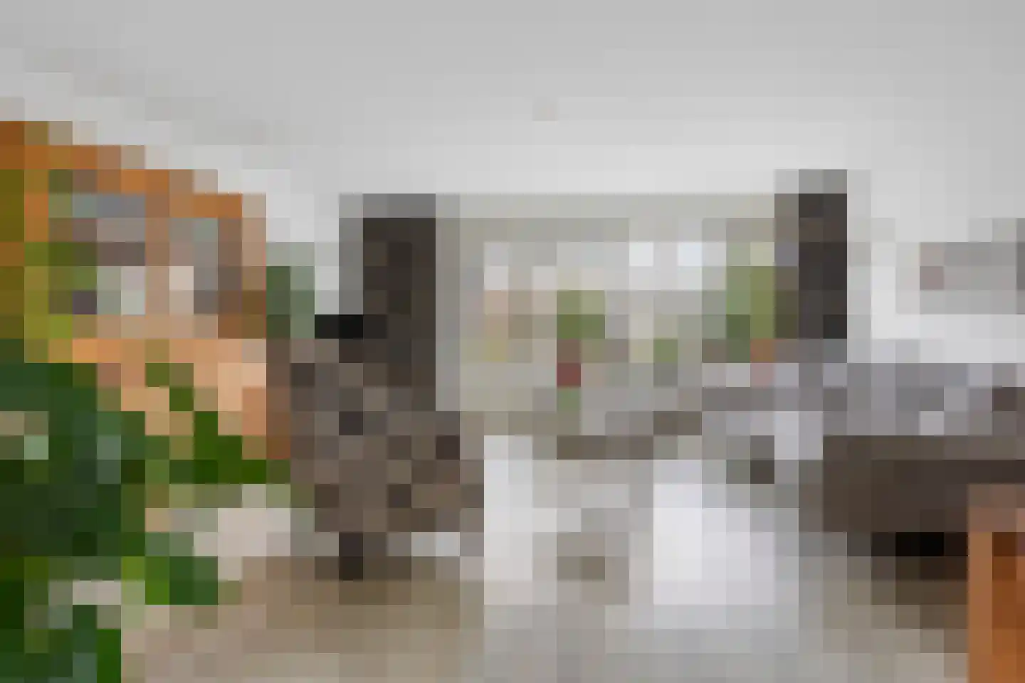 Sneeuwwit 22 Zoetermeer thumbnail 4