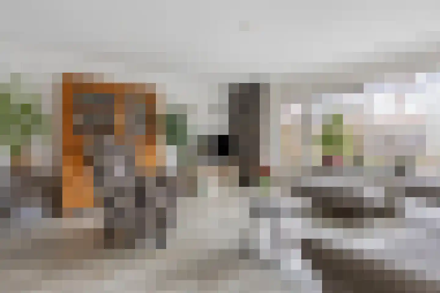 Sneeuwwit 22 Zoetermeer thumbnail 5