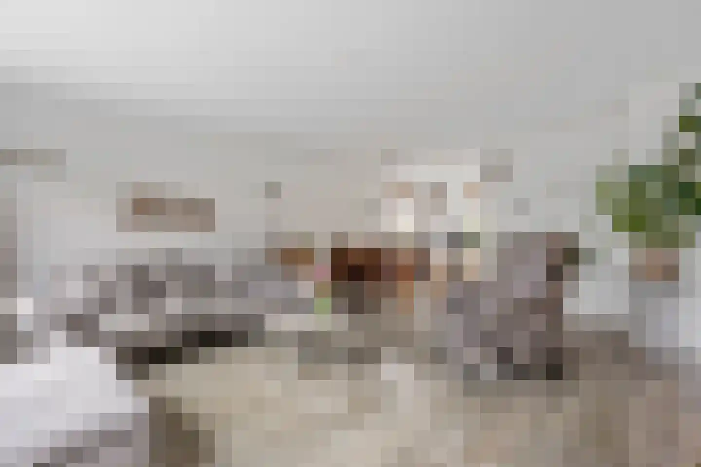 Sneeuwwit 22 Zoetermeer thumbnail 6