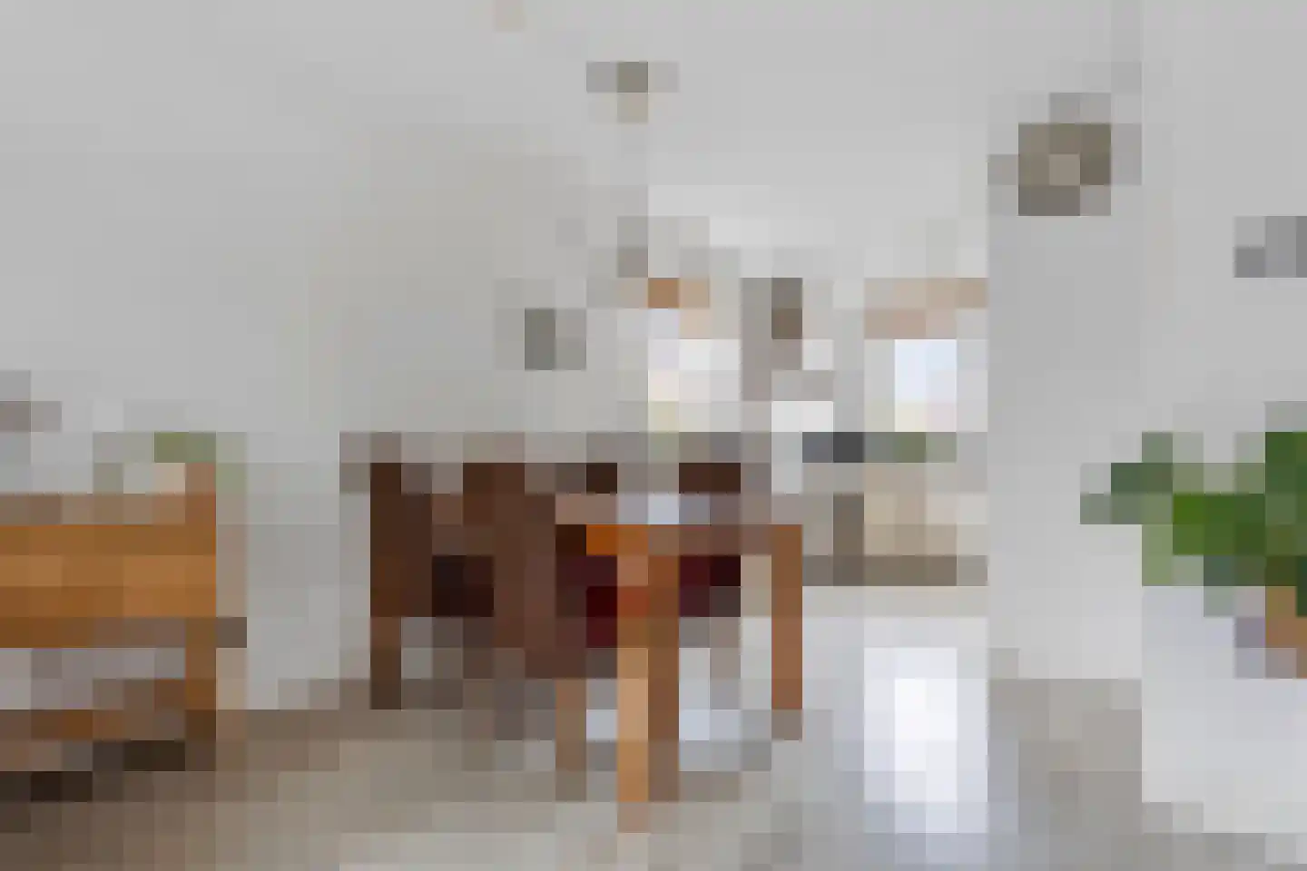 Sneeuwwit 22 Zoetermeer thumbnail 7
