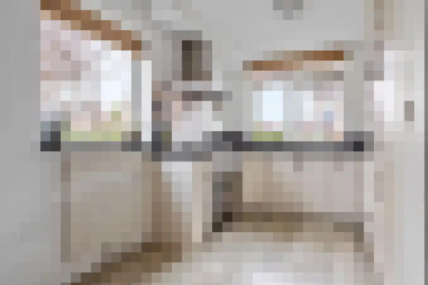 Sneeuwwit 22 Zoetermeer thumbnail 8