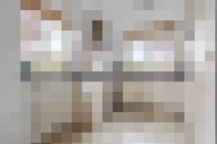 Sneeuwwit 22 Zoetermeer thumbnail 8
