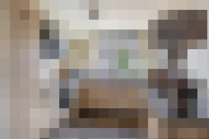 Sneeuwwit 3 Zoetermeer thumbnail 14