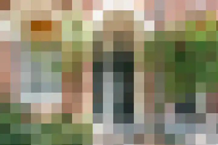 Sneeuwwit 3 Zoetermeer thumbnail 18