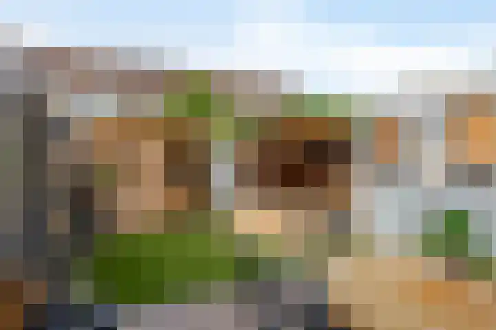 Sneeuwwit 3 Zoetermeer thumbnail 20