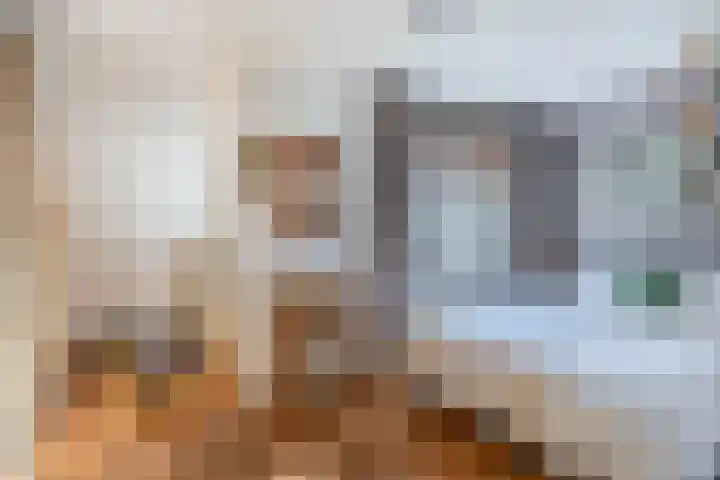 Sneeuwwit 3 Zoetermeer thumbnail 25