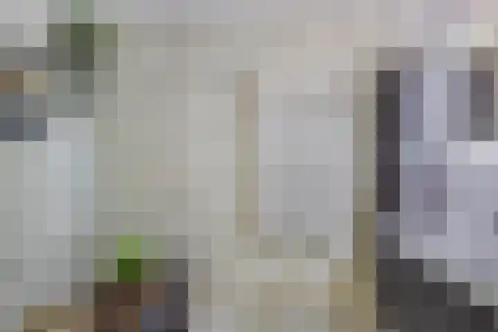 Sneeuwwit 3 Zoetermeer thumbnail 27