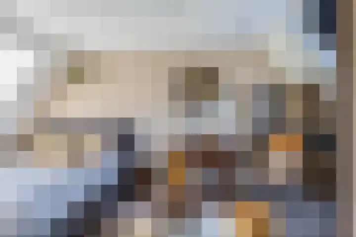 Sneeuwwit 3 Zoetermeer thumbnail 34
